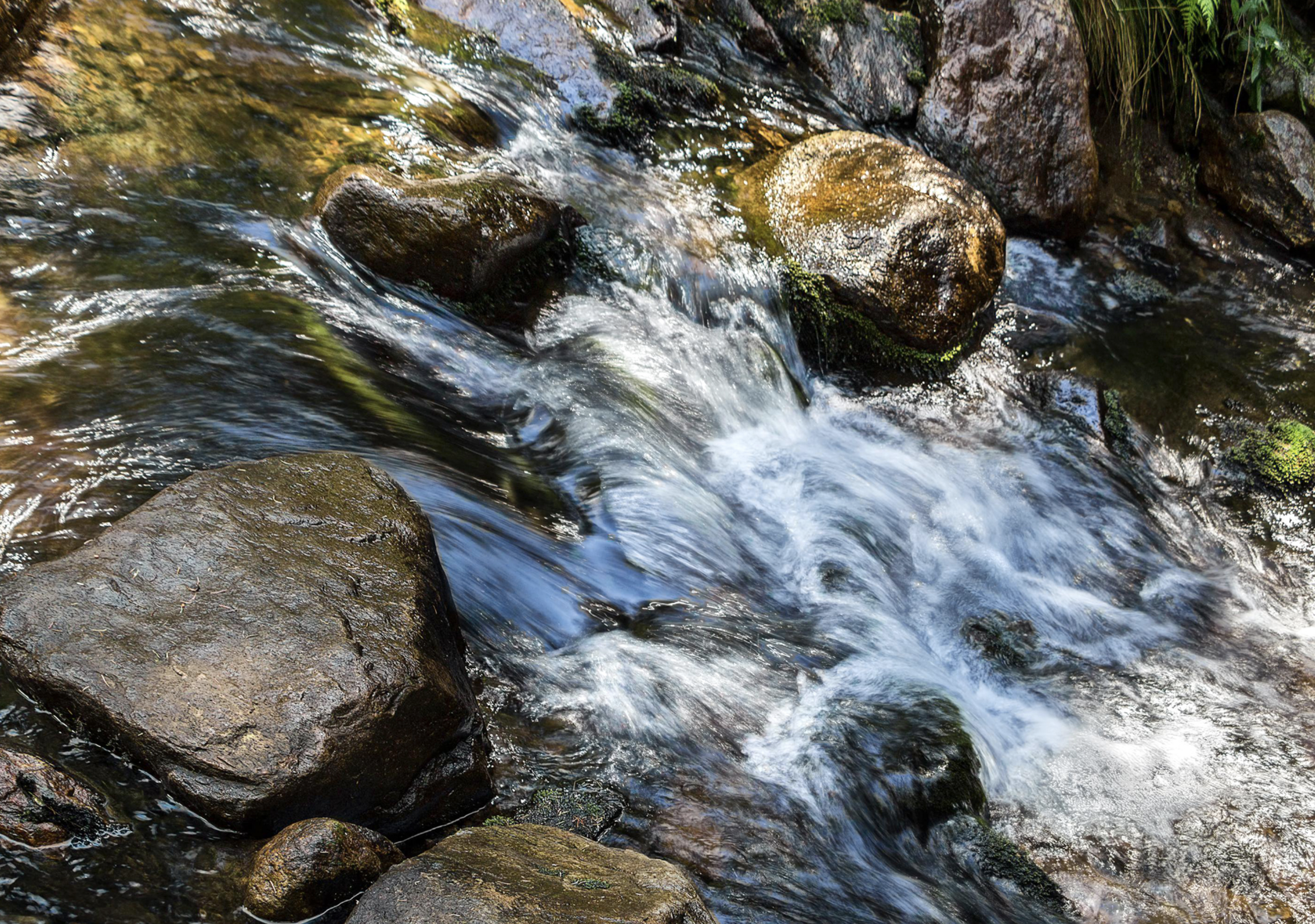 water moving quickly around rocks in a stream